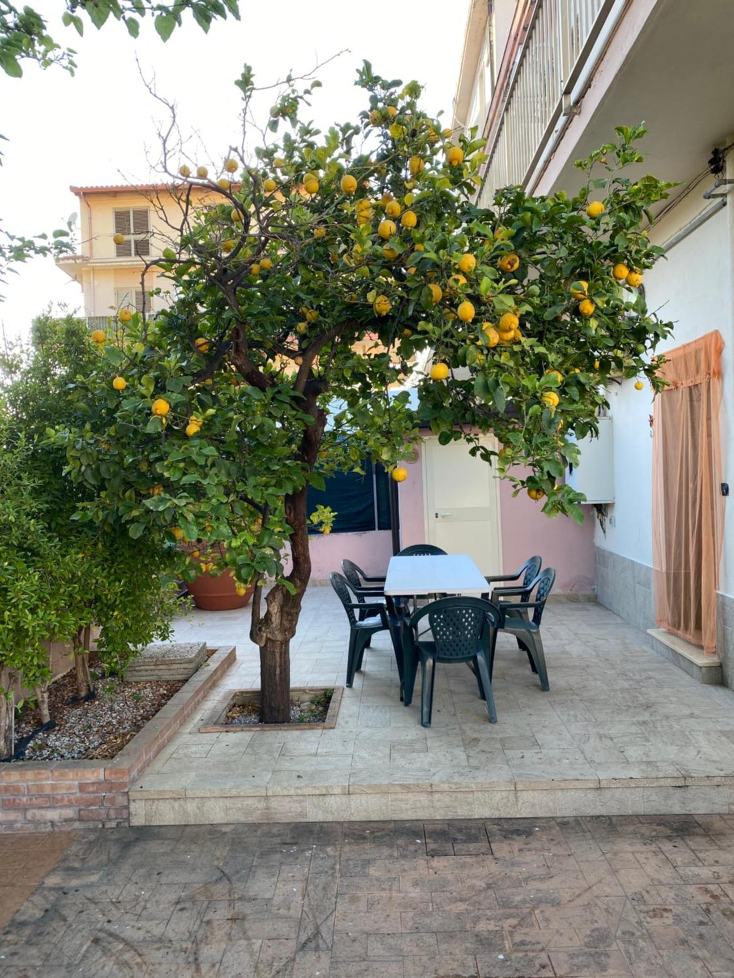 L'Albero Di Limoni Sul Mare Di Pizzo Βίλα Εξωτερικό φωτογραφία