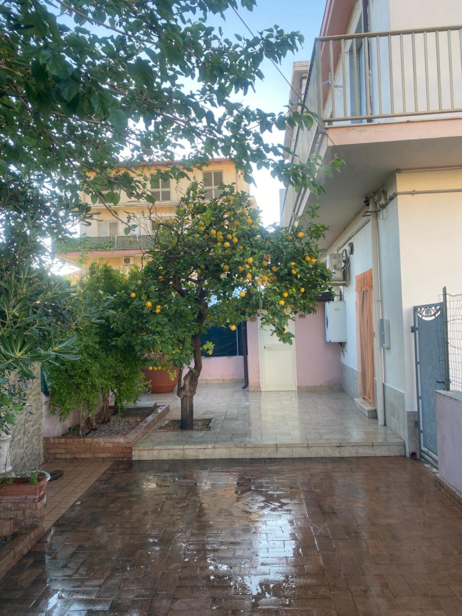 L'Albero Di Limoni Sul Mare Di Pizzo Βίλα Εξωτερικό φωτογραφία
