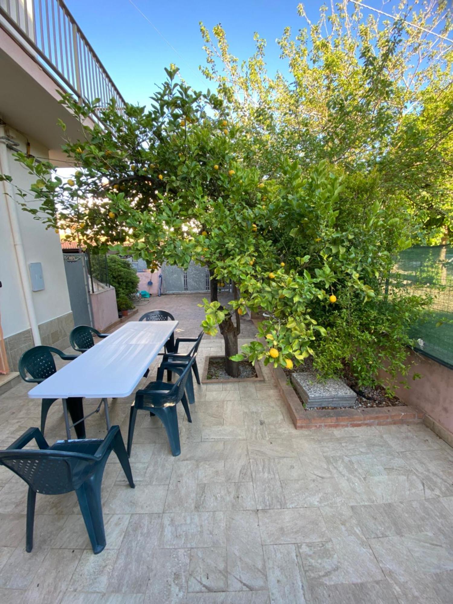 L'Albero Di Limoni Sul Mare Di Pizzo Βίλα Εξωτερικό φωτογραφία