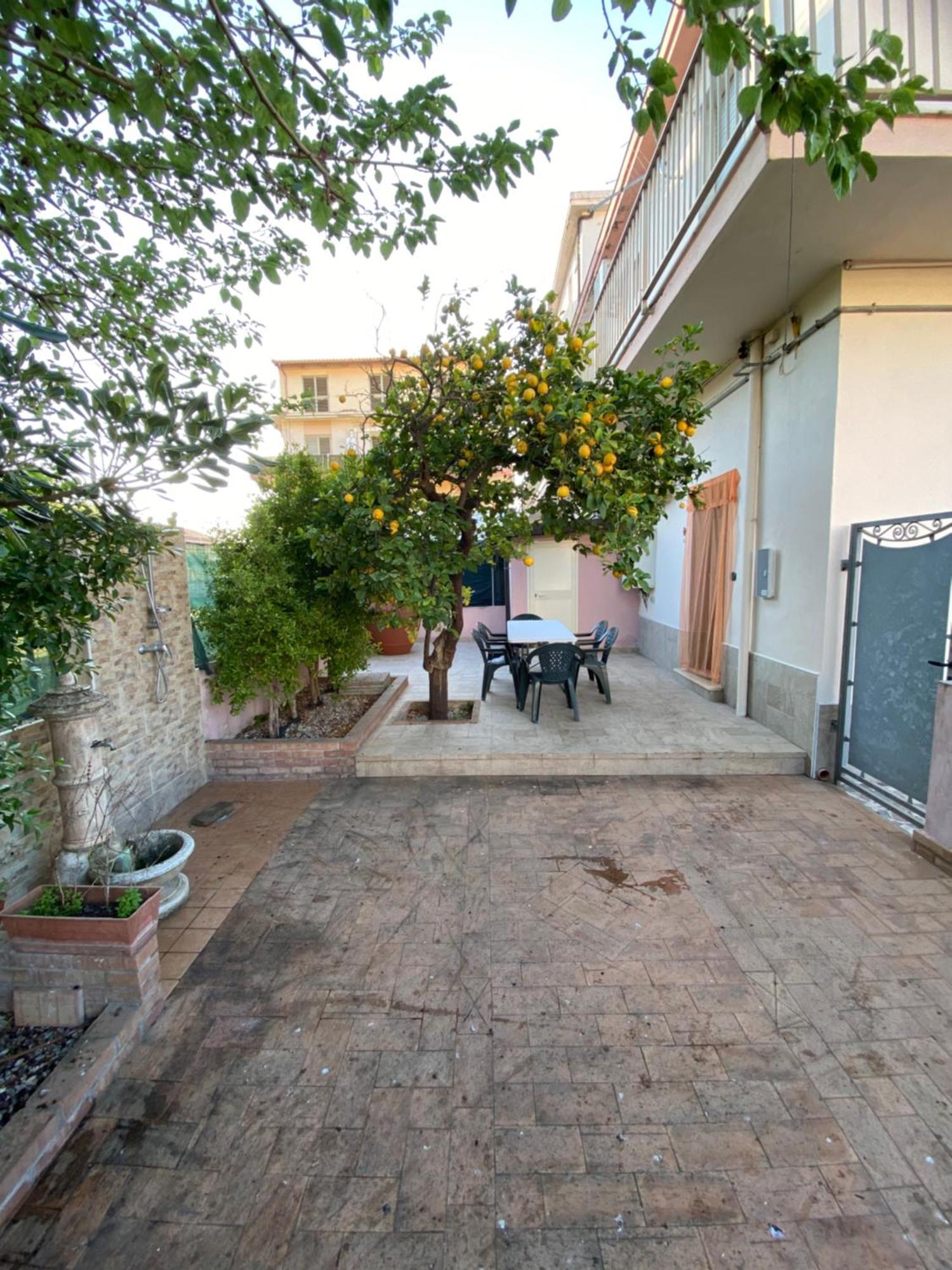 L'Albero Di Limoni Sul Mare Di Pizzo Βίλα Εξωτερικό φωτογραφία